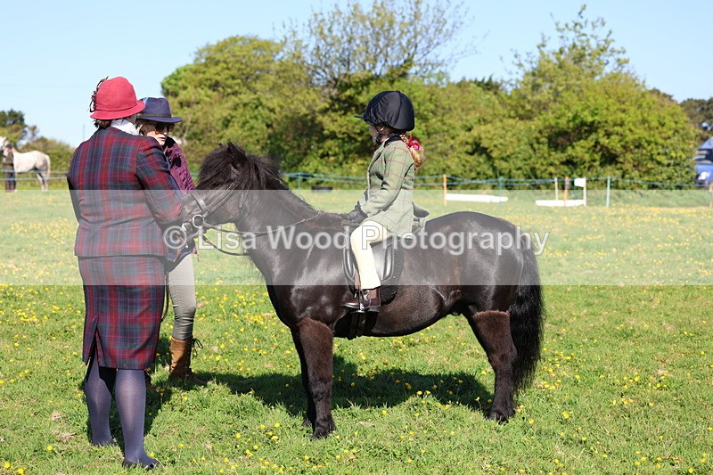 3E7A8765 - Class 2: Lead rein