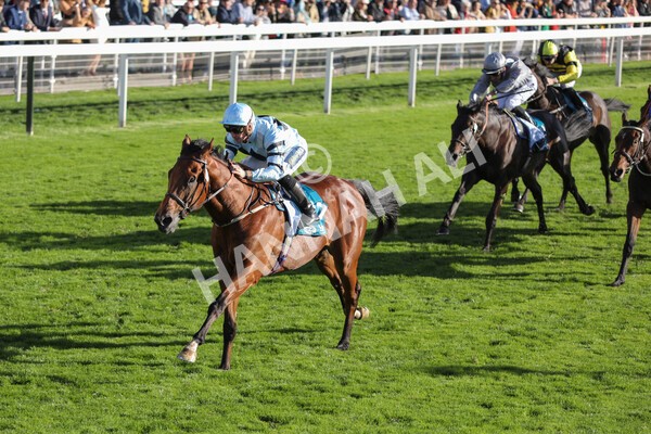 yr08102022r5-35 - Race 5 3.50pm The Coral Committed To Safer Gambling EBFStallions.com Maiden Stakes