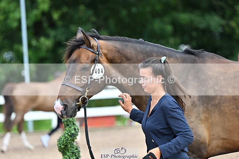 240718A-105309-01626 - Trot Up 1pm to 2pm