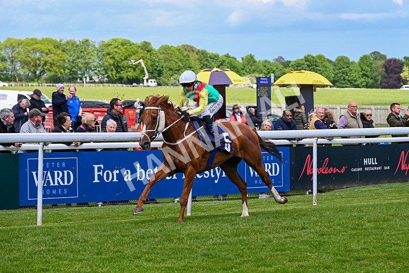 120526-Race 1-Lovers Leap-7174 - Race 1 2.30pm Clearanswer Call Centres Maiden Fillies' Stakes