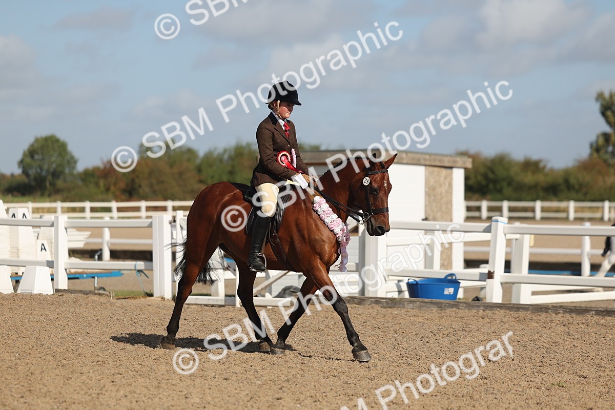SBM_22646 - Class 804 - Ridden Veteran Pony