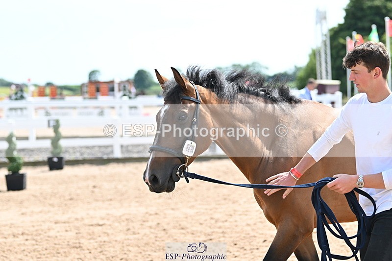 240717A-150230-02471 - Trot Up 3pm to 4pm