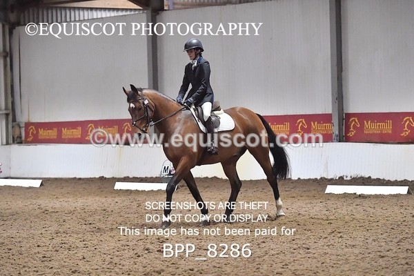 BPP_8286 - NOVICE 6 UNAFF