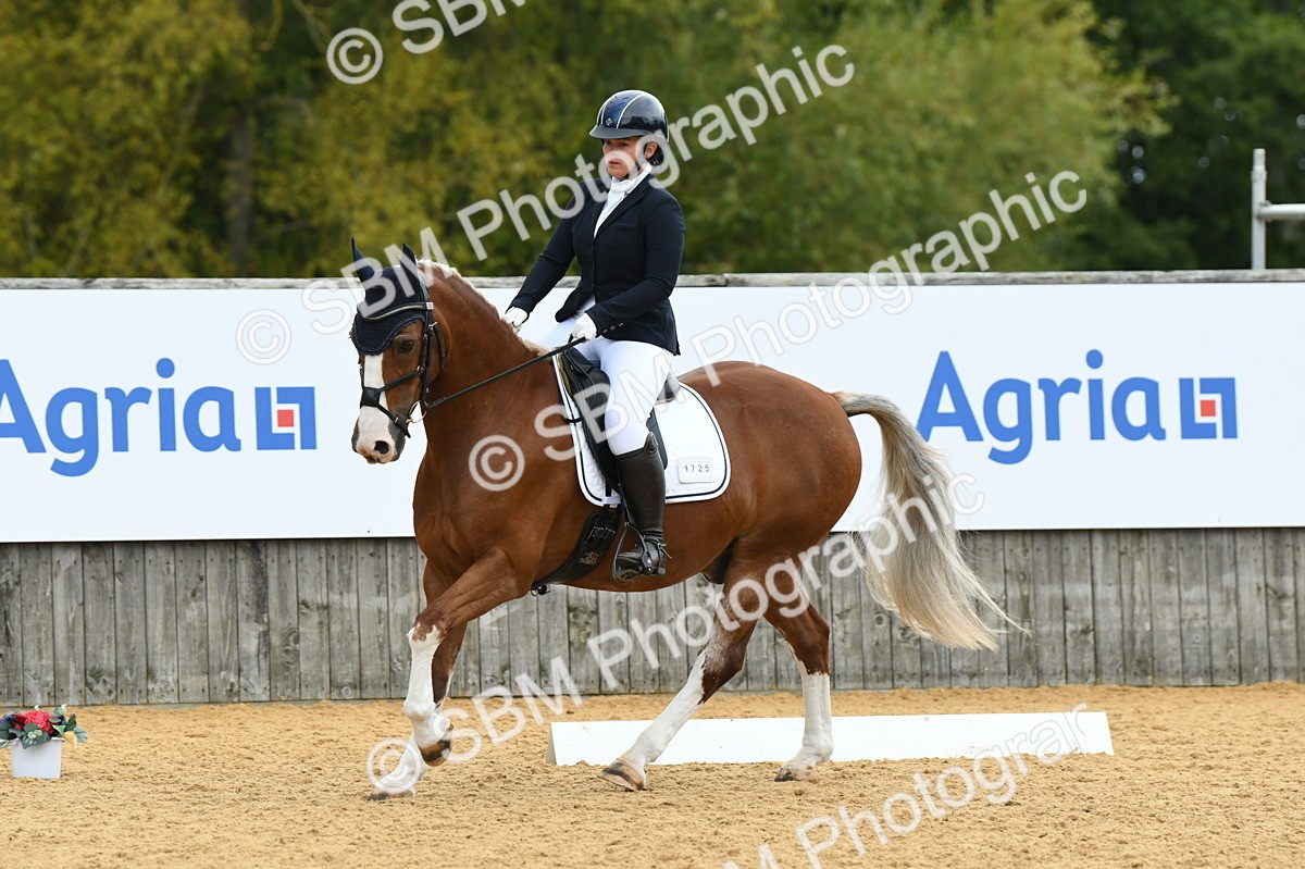 SBM_09931 - D15 Small Tour Championship Novice 24