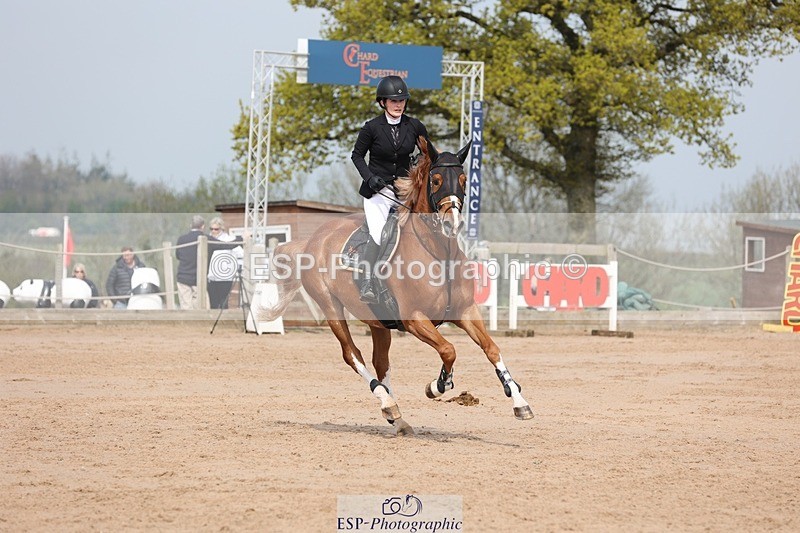 250424-110426-03377 - Cls 33 Young Horse 7yr old