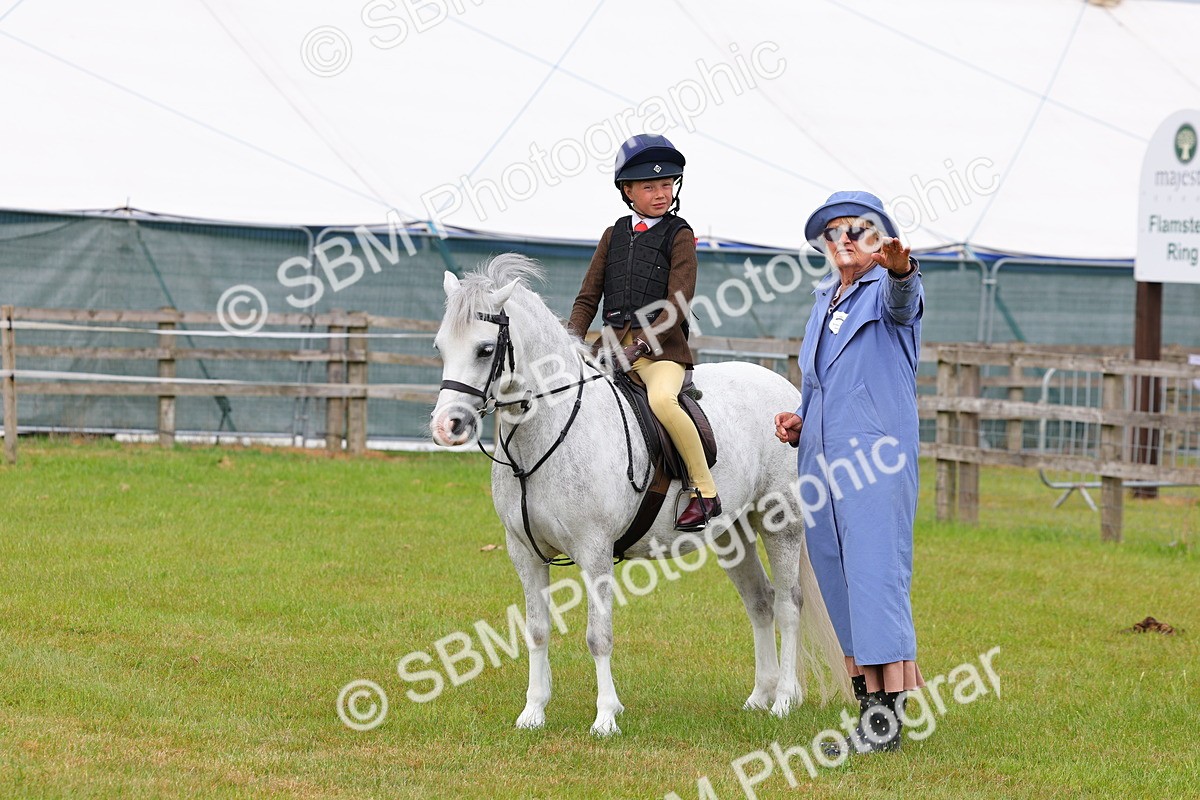 SBM_08621 - Class 42-43 - LIHS BSPS Heritage Working Sports Pony