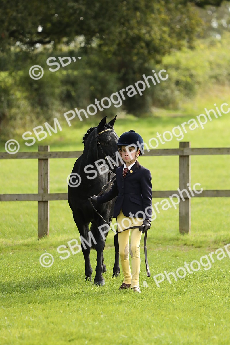 SBM_68518 - S40 - Junior Handler 9-12 Years