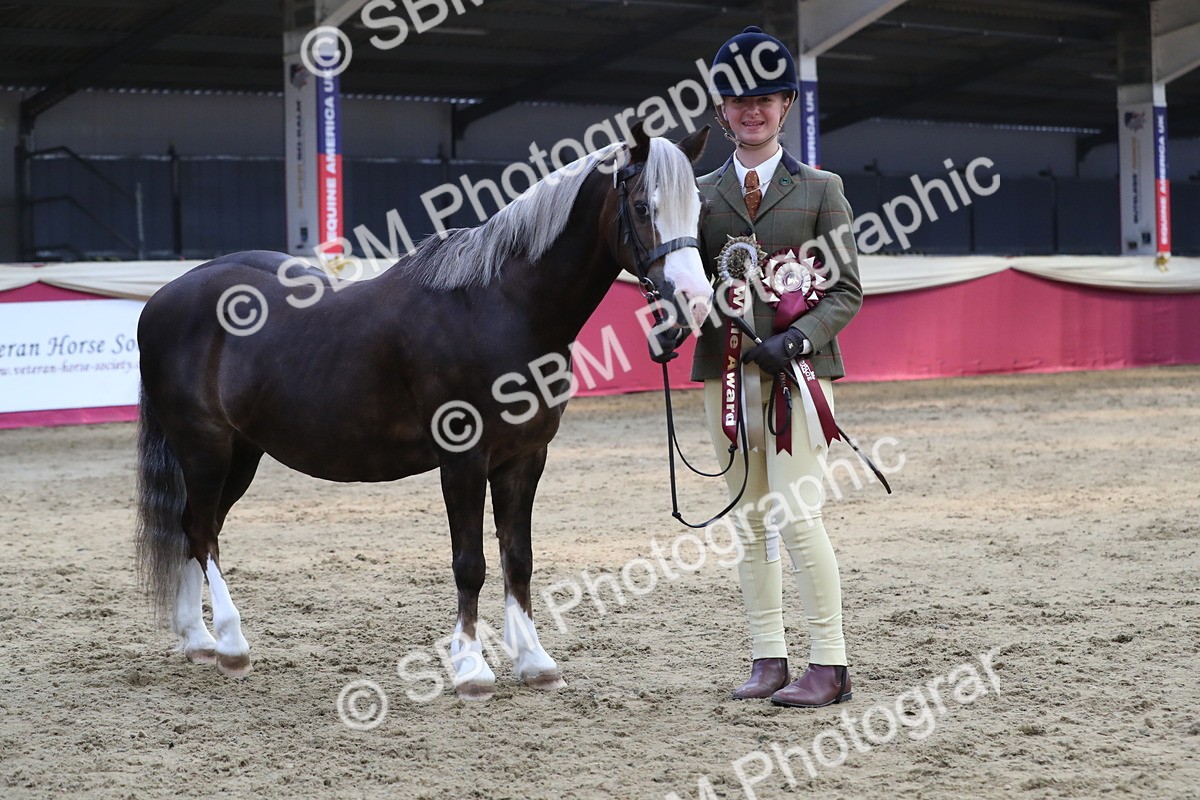 SBM_06597 - Regional IH Champ