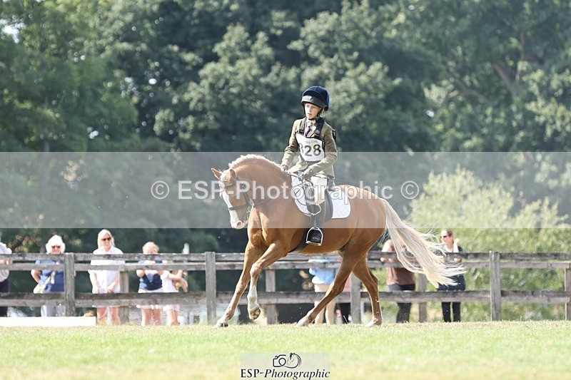 250823A-135606-31399 - Arena D