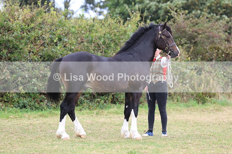 3E7A4210 - Class 15: Two Year Olds