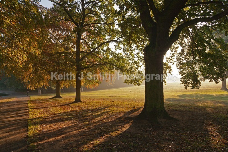 YR6M2595 - Abington Park & Northampton Town.