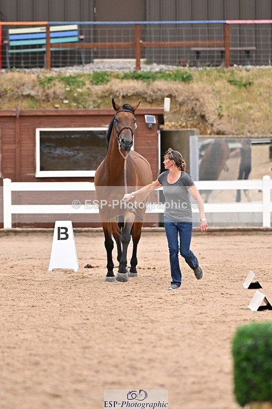 250716-154941-02199 - Trot Up 3.30 to 4.30