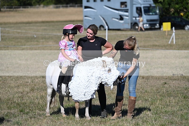 WJ7_2879 - Class 45 Fancy Dress (My Fav)