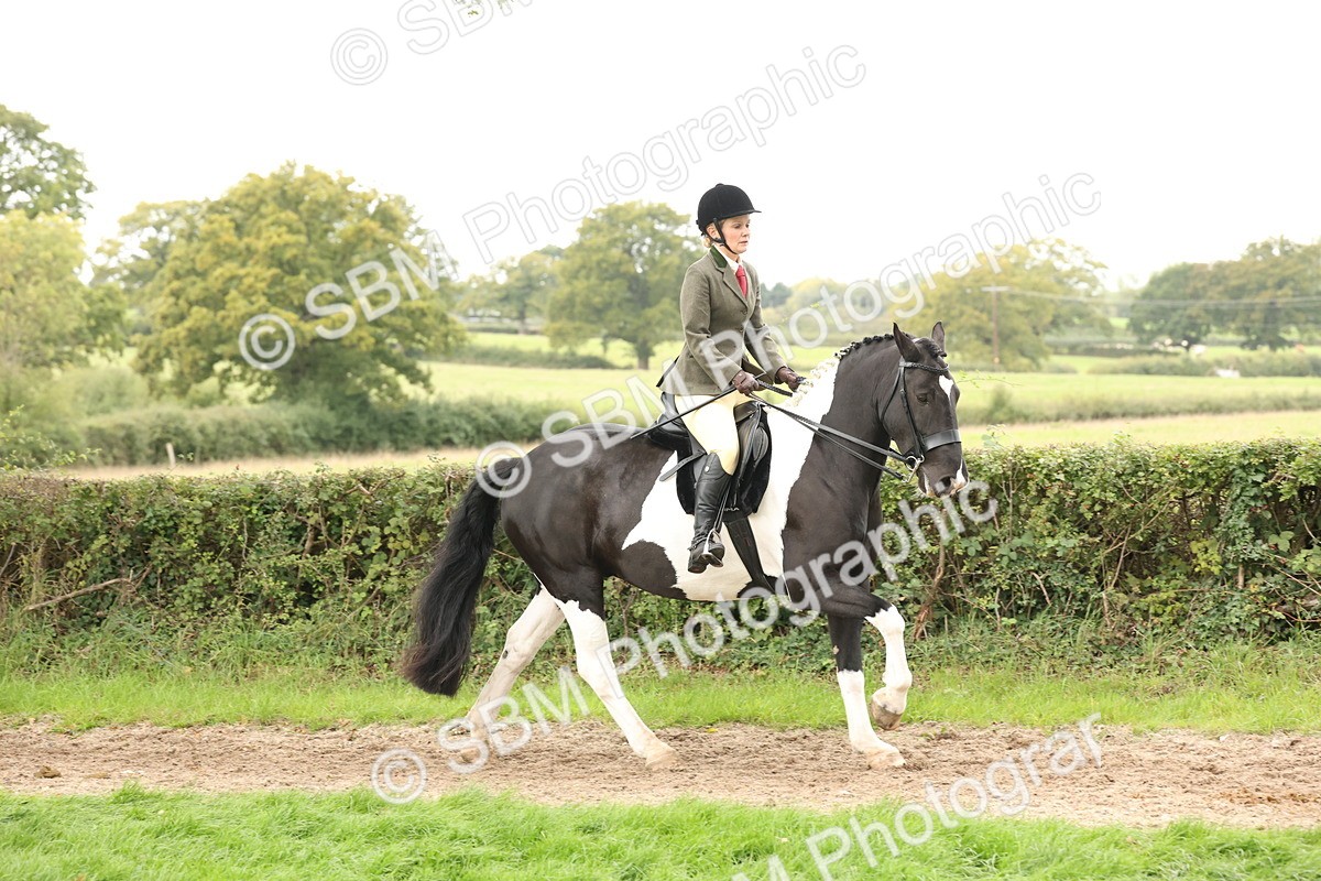 SBM_67238 - S67 - Piebald & Skewbald Horse Ridden