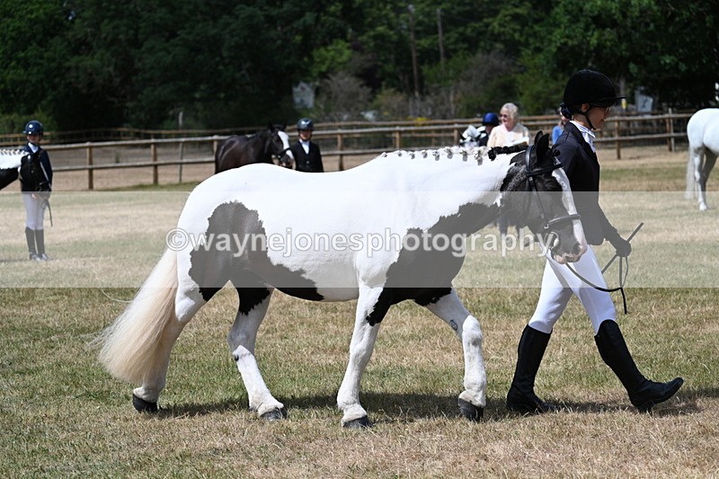 WJ7_1738 - Class 4 Prettiest Mare up to 14.2hh in hand