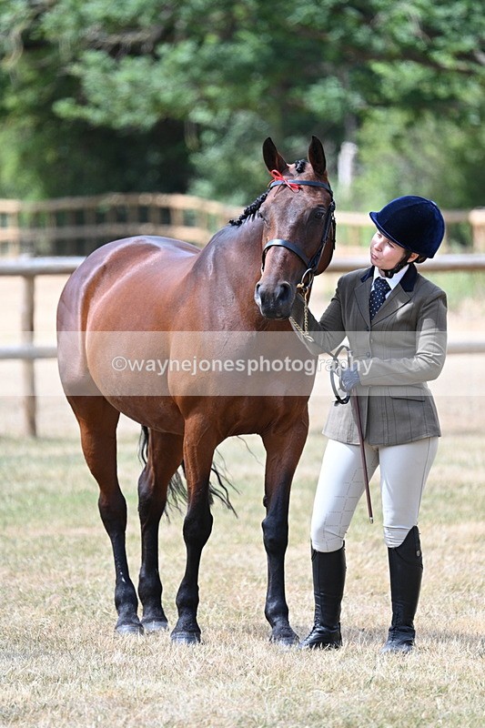 WJ7_2012 - Class 4a Prettiest Mare 14.2hh and over hand