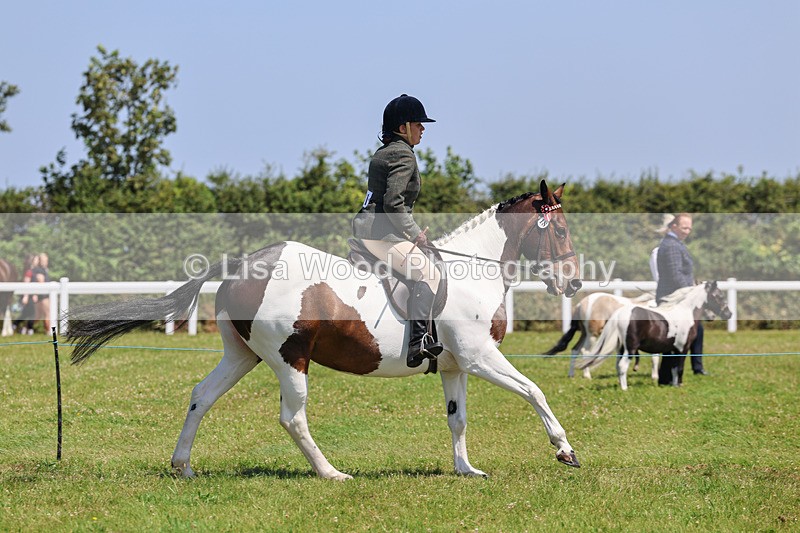 IMG_2506 - Class 38: Veteran Ridden