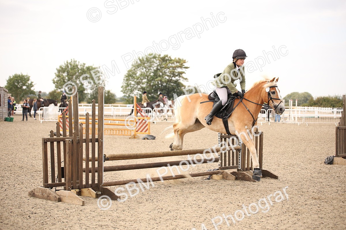 SBM_16170 - Class 409a - Working Veteran 80cm (15-19)