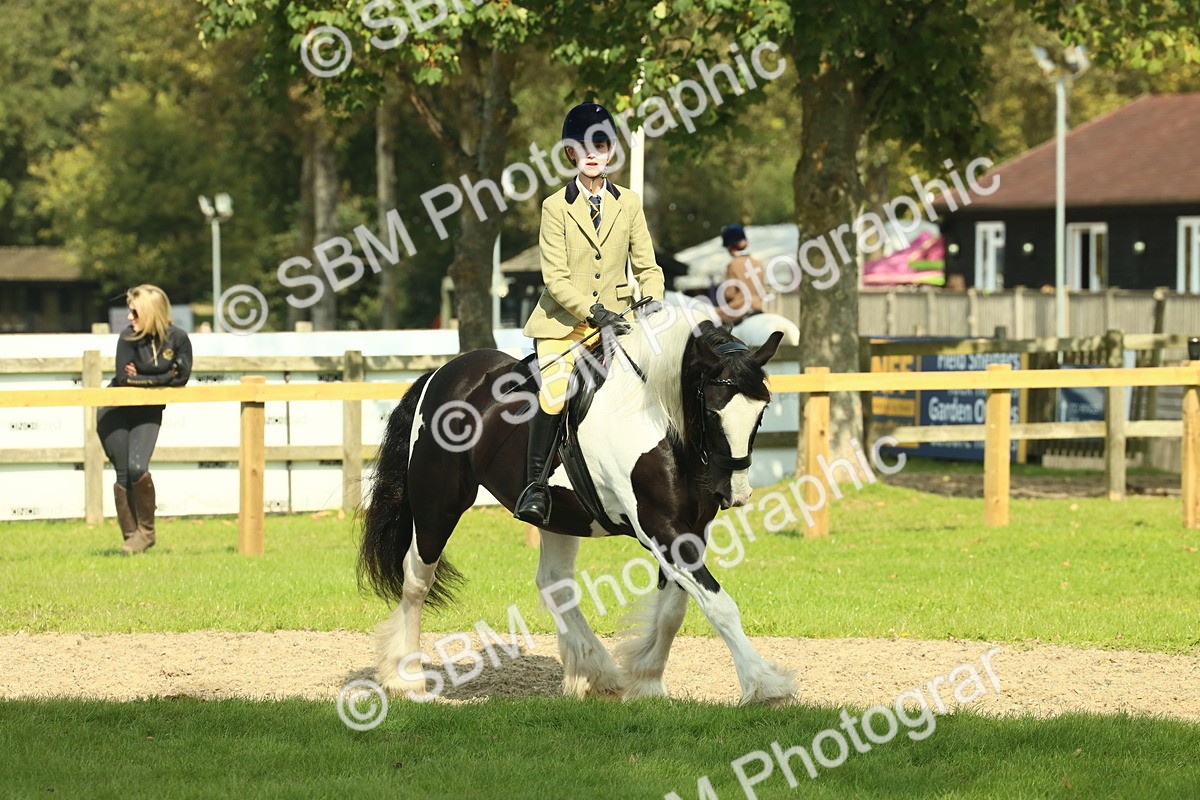 SBM_67597 - S56 - Coloured Pony Ridden