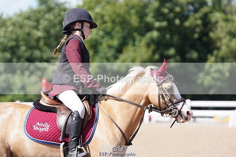 250627-160422-00019 - Cls 2 Pony Intro 80cm