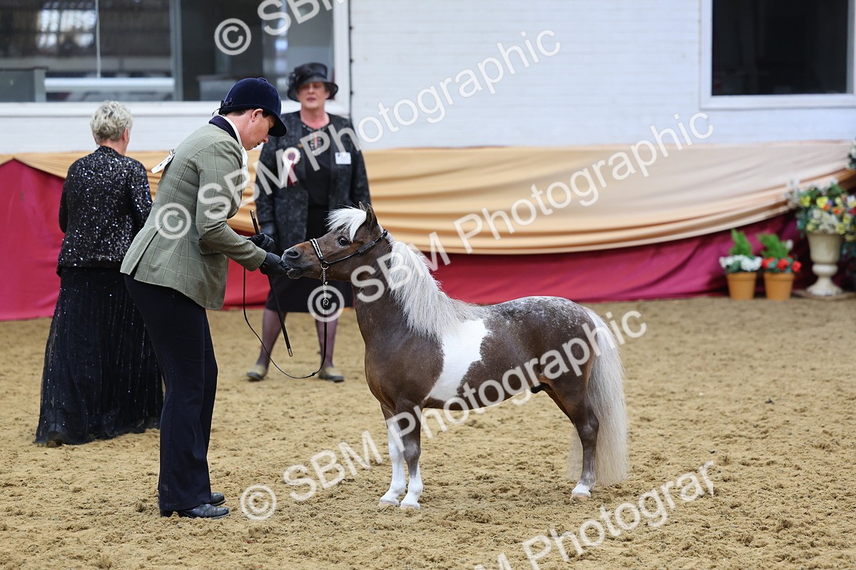 SBM_22889 - Class 903 - Supreme Final - IH Pre Vet