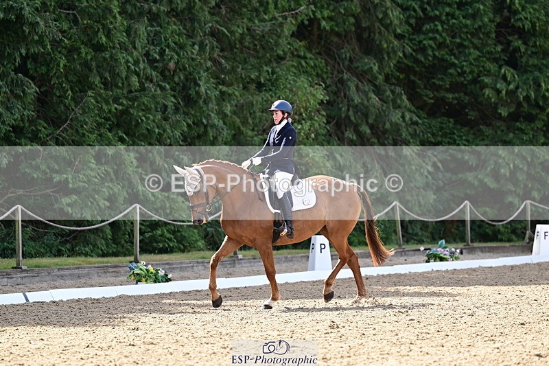 260802A-103815-05549 - Novice Silver break - break