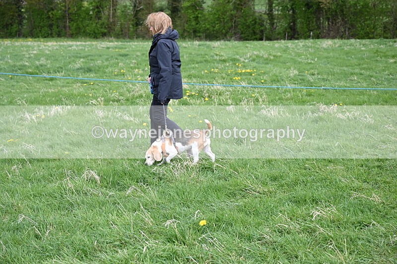 WJ6_8074 - Class 2 Best Pedigree