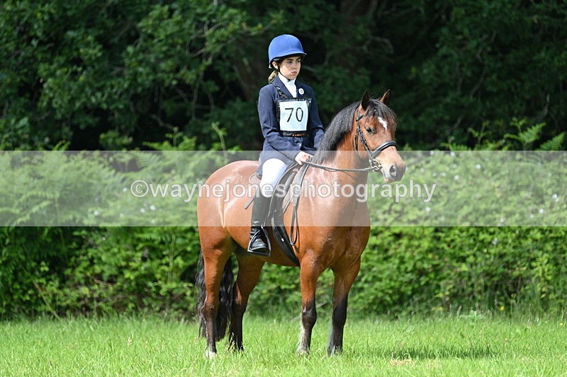 WJ7_1140 - Class 11 Condition & Turnout
