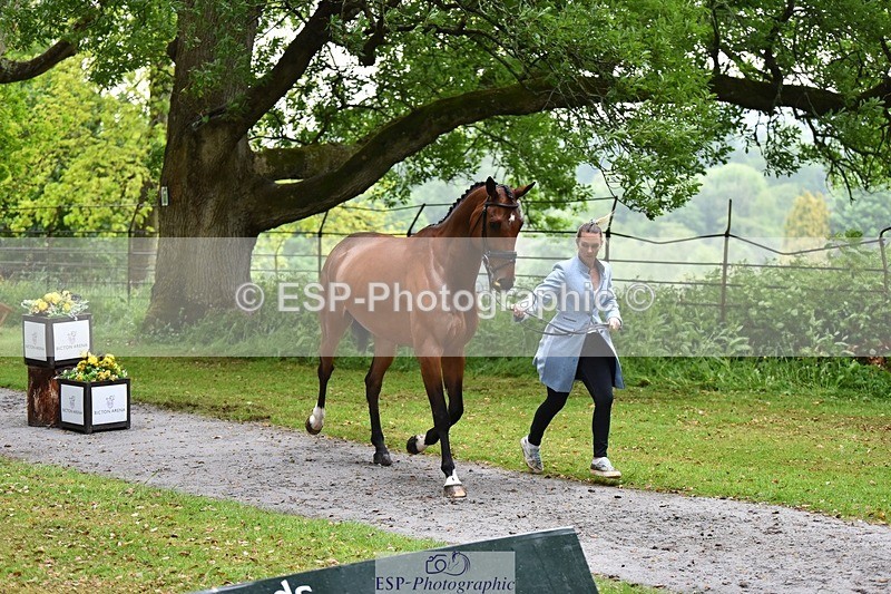 240522-162024-00844 - 240-KINDA_CORVETTE-Dani_Evans