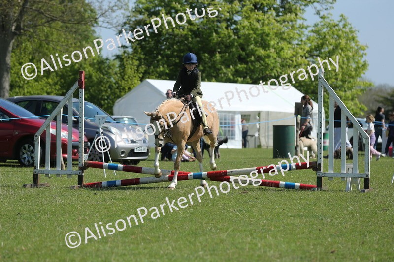20250427-1955 - Class 2 - Mini Jumping 30cm