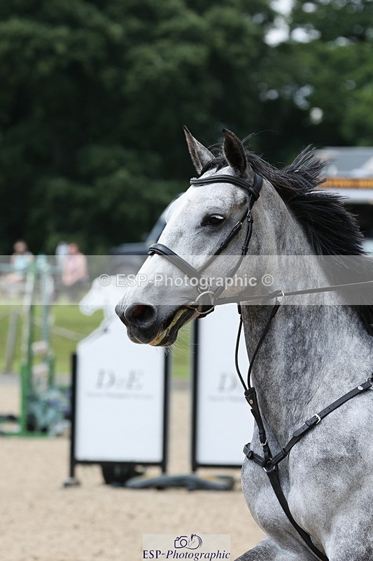 250614A-133714-07238 - Cls 29  Snr Discovery and 1m Open