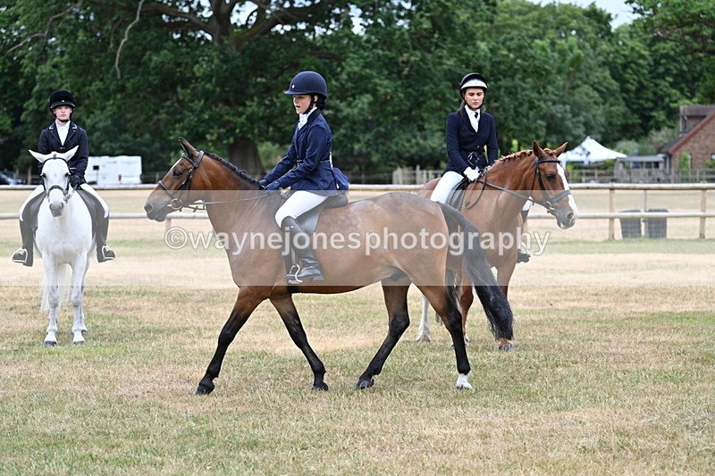 WJ7_0491 - Class 2 Best rider