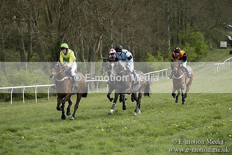 PtP 170417 327 - Old Berks Point-to-Point Lockinge 17/04/17