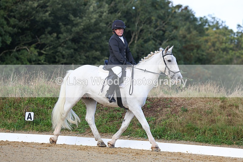 3E7A2451 - Class 1: Intro 4 2024 section A