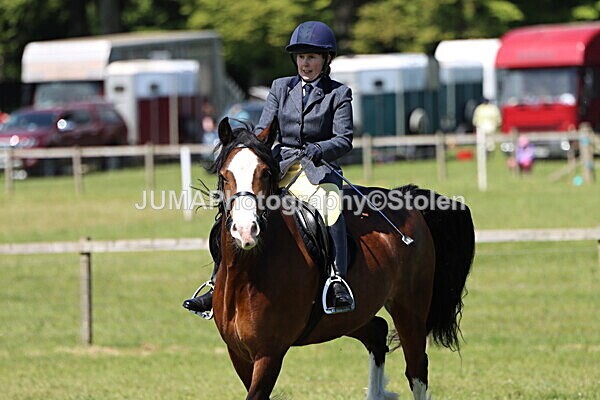 IMG_3491 - Working Hunter
