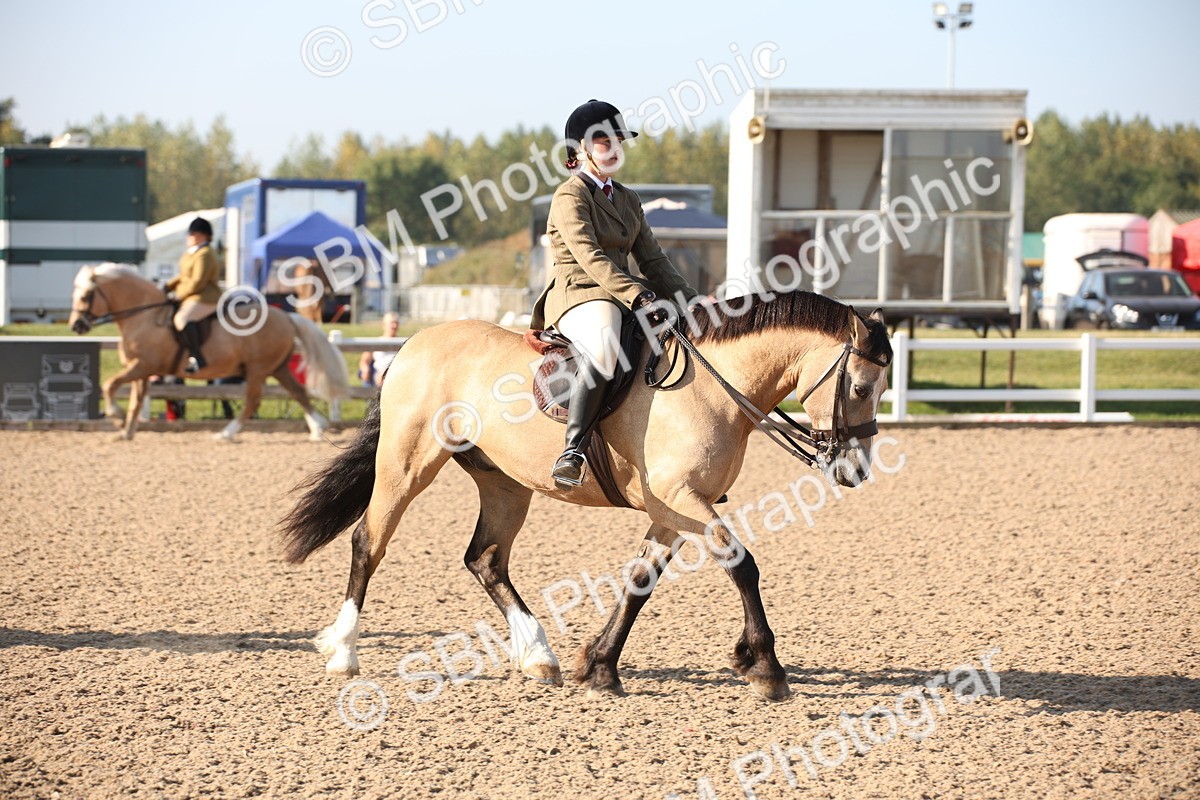 SBM_00650 - Class 14 Ridden M&M Wildcard