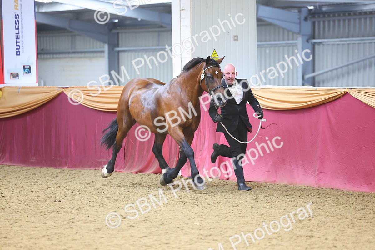 SBM_24974 - Grand Supreme Final Overall Champion