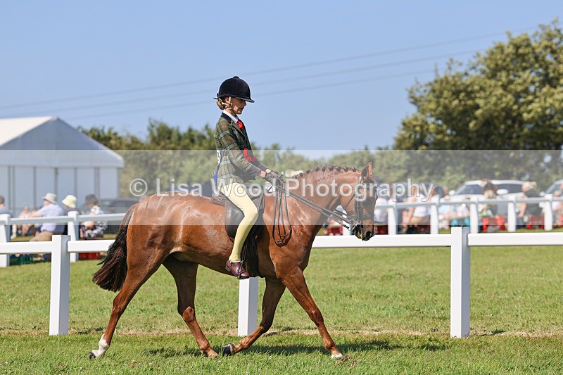 IMG_2124 - Plaited Ridden Championship