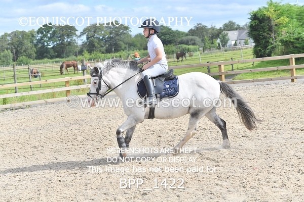 BPP_1422 - DERBY CLASS 2 - 30CM