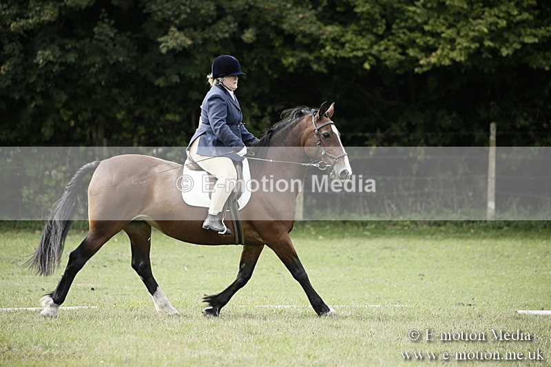 BVR080918 177 - BVRC Novice Dressage & CR 08/09/18