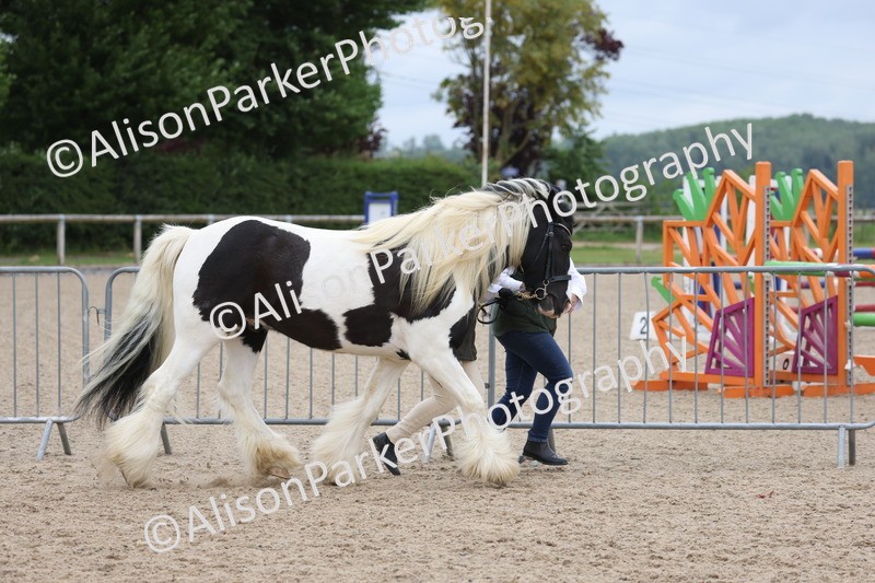 20250524-1002 - Class 9 - Cob and Hunter