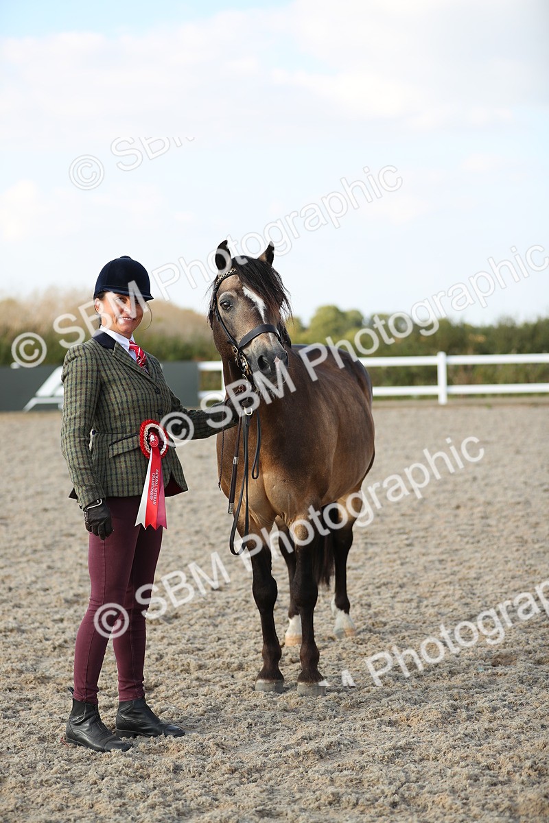 SBM_09087 - Class 29 IH Veteran Pony
