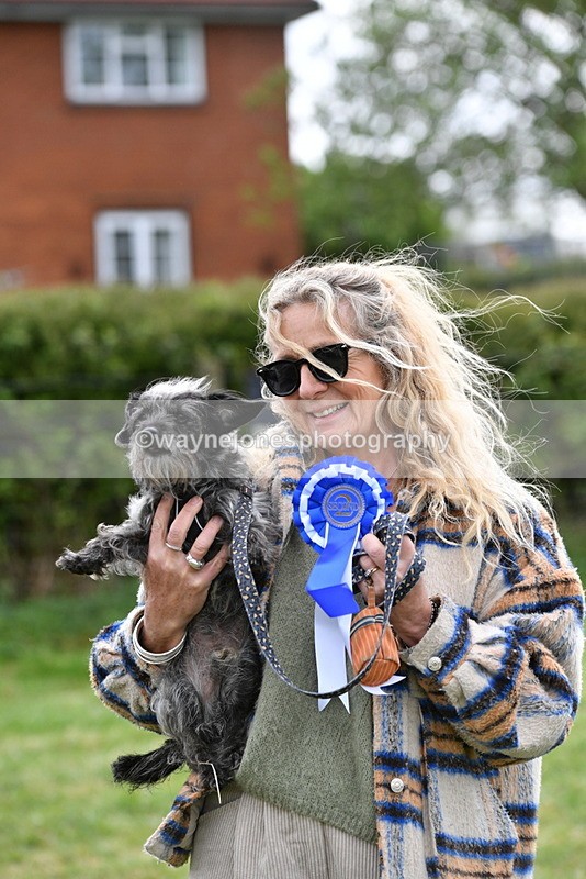 WJ5_9398 - Class 1 Best Cross Breed / Heniz 57