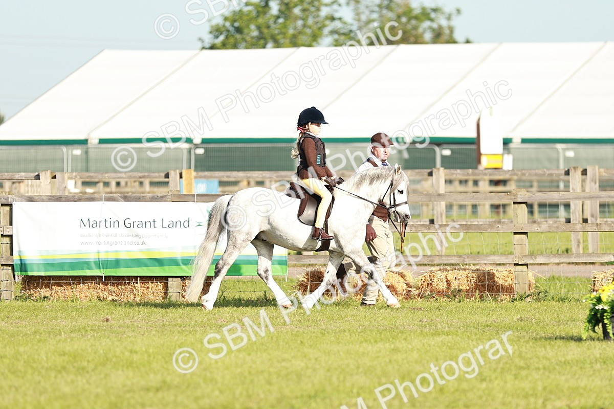SBM_11038 - Class 106-107 - BSPS LIHS Working Sports Pony