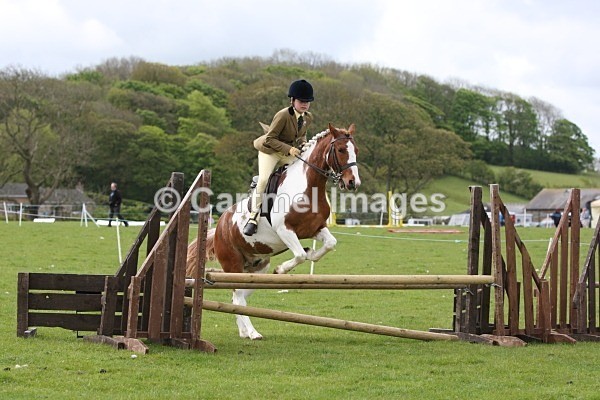 MBMAY 7837 - Morecambe Bay Riding Club May 2012 - Working Hunter/Jumping