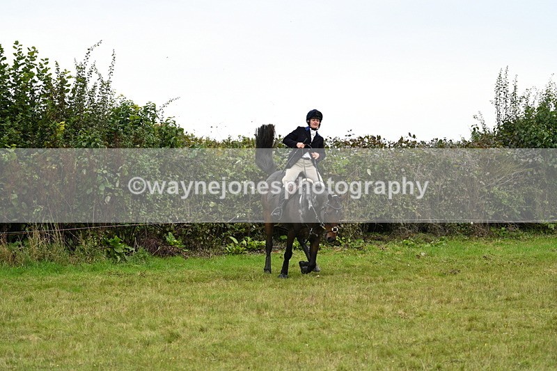 WJ7_4106 - Camera 1 Line 2