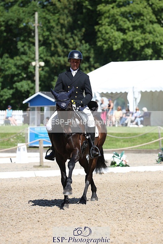 230526-103412-05282 - 362-SPIRIT'S_GEMINI-Harry_Dzenis-WEDTrotUp+DR