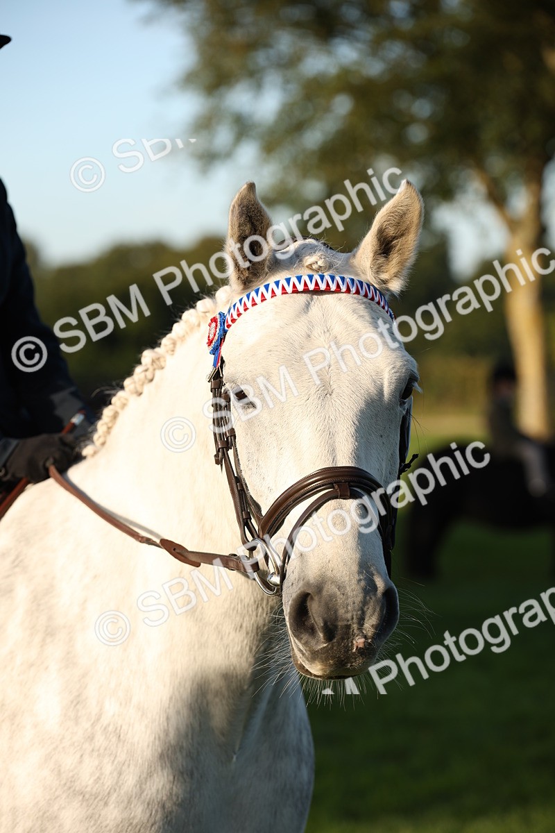 SBM_32366 - S8 - Best Turned Out