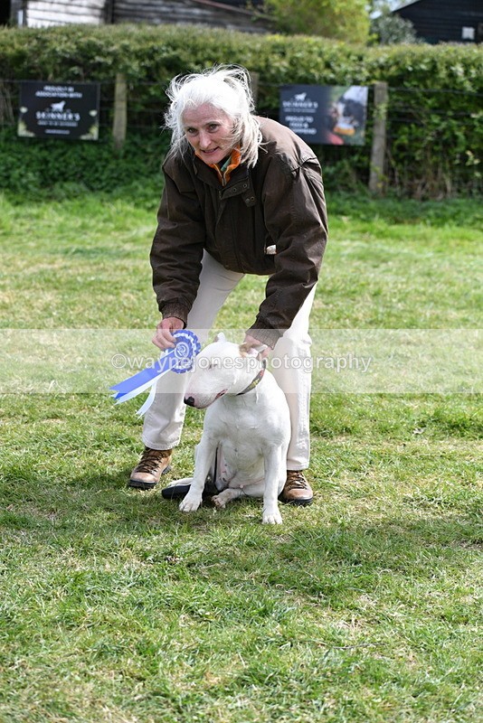 WJ5_0627 - Class 7 Best Terrier