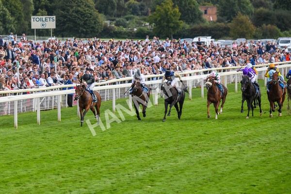 260823-Race 6-Inquisitively-0868 - Race 6 Julia Graves Roses Stakes at York
